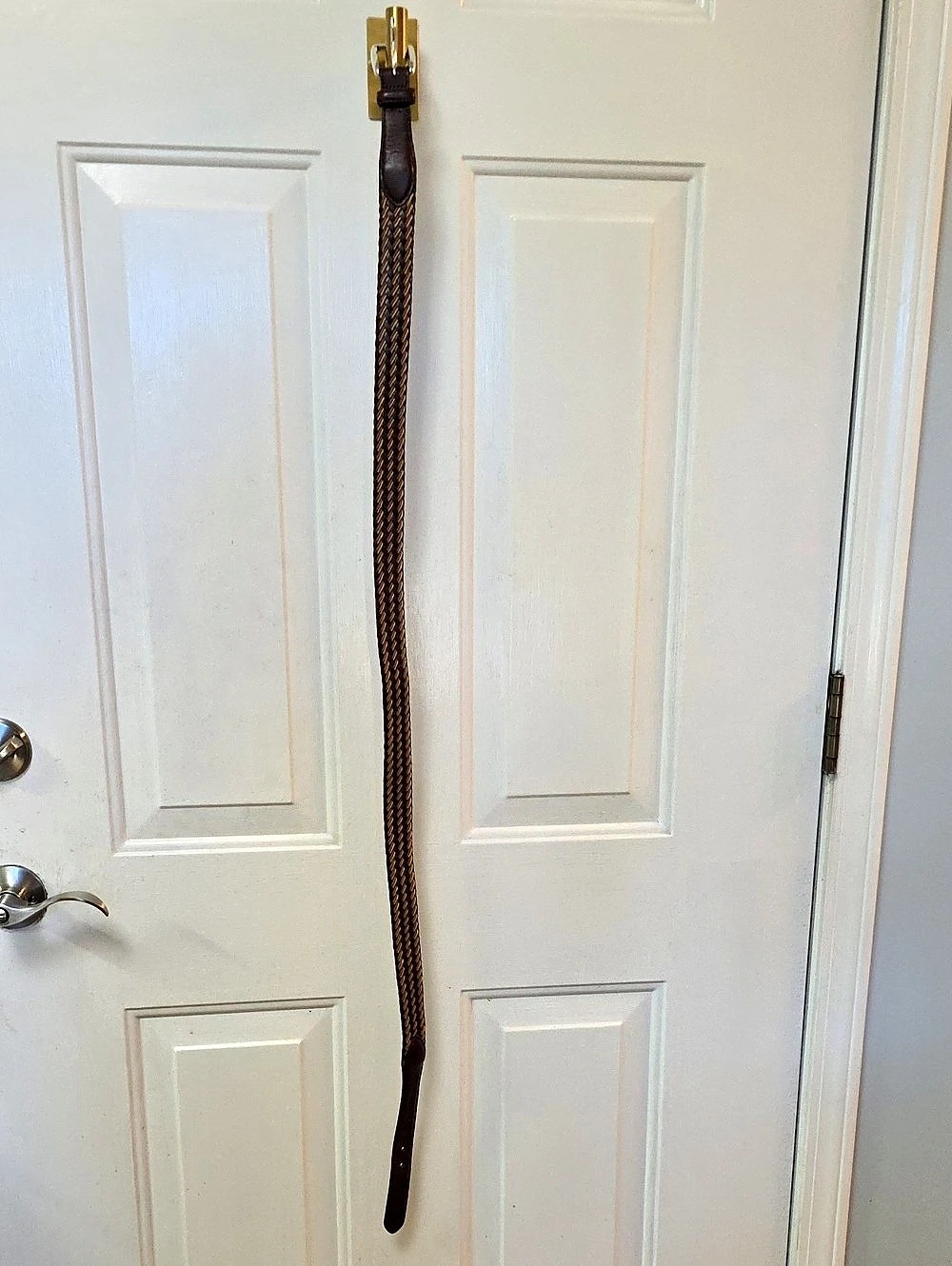 Brighton Braided Leather Belt in Brown